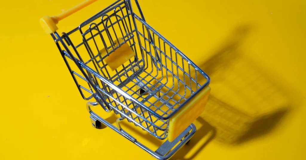 Cara Jadi Dropship Shopee dengan Mudah dan Efektif