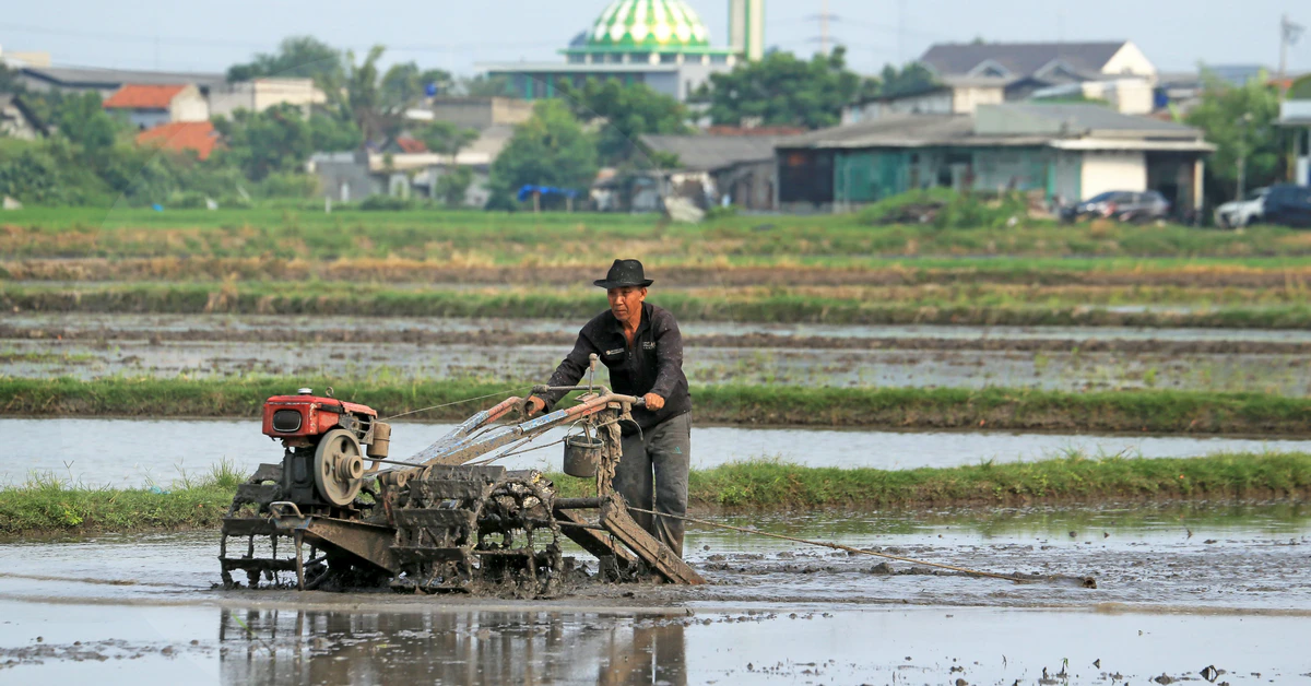 Jenis Usaha Jasa