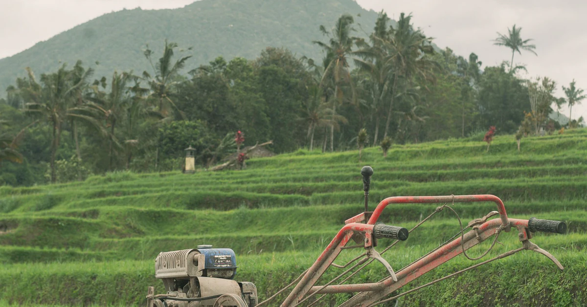Peluang Bisnis di Kecamatan Kaligesing, Purworejo