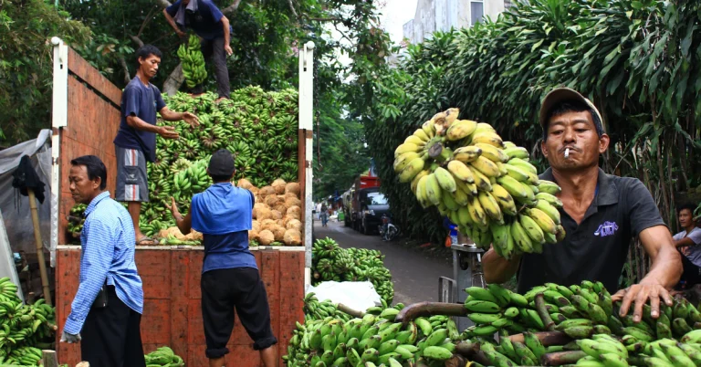 Usaha yang Menjanjikan di Gebang, Purworejo